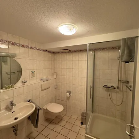 Gruener Baum Hotel *