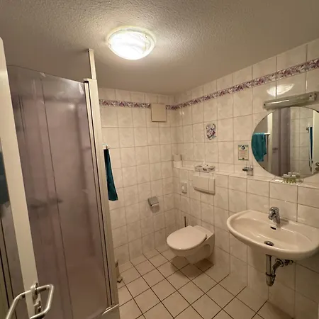Hotel Gruener Baum Rastatt